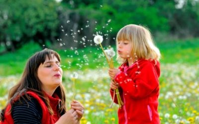 Spring Home Maintenance